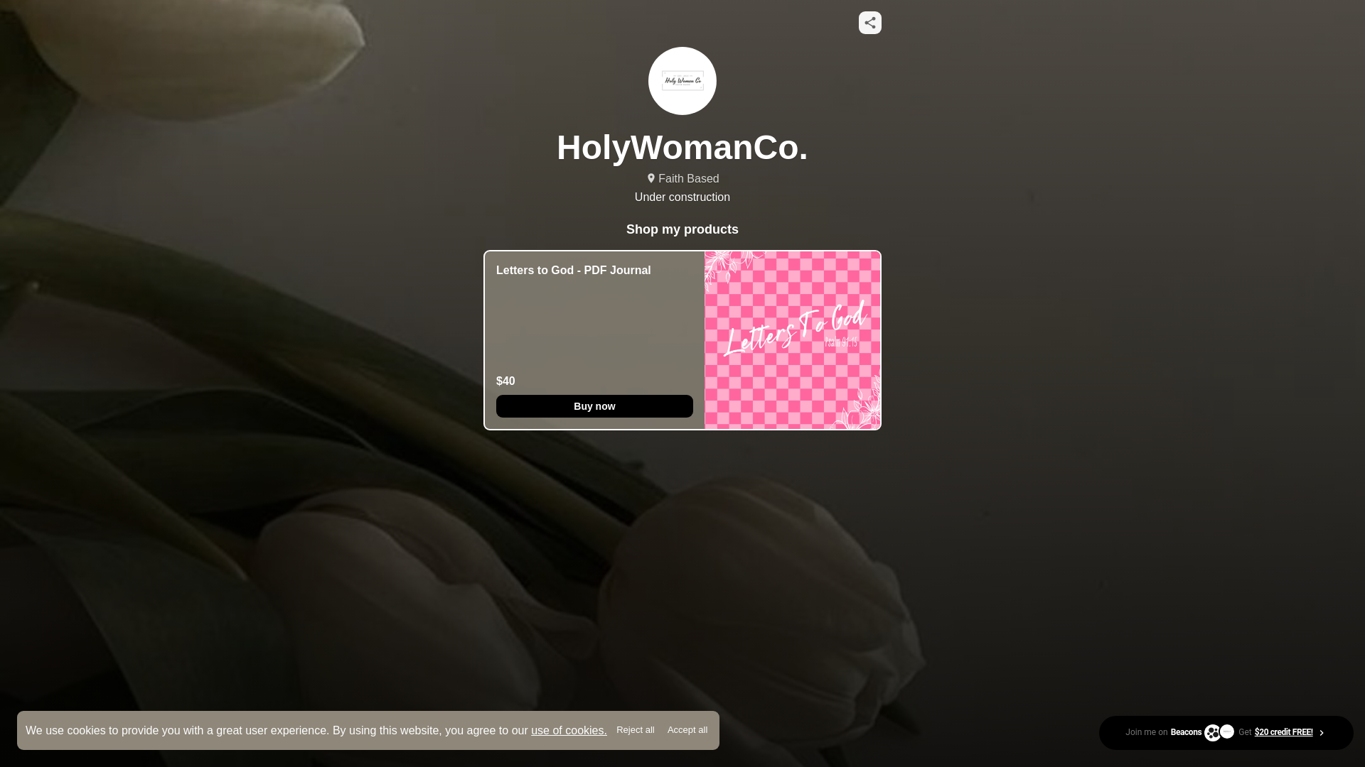 website screenshot of https://holywomanco.info/