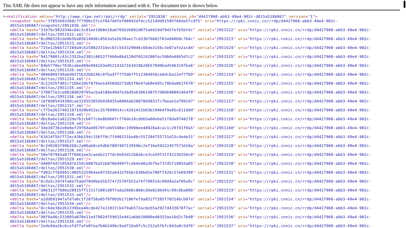 website screenshot of https://rpki.cnnic.cn/