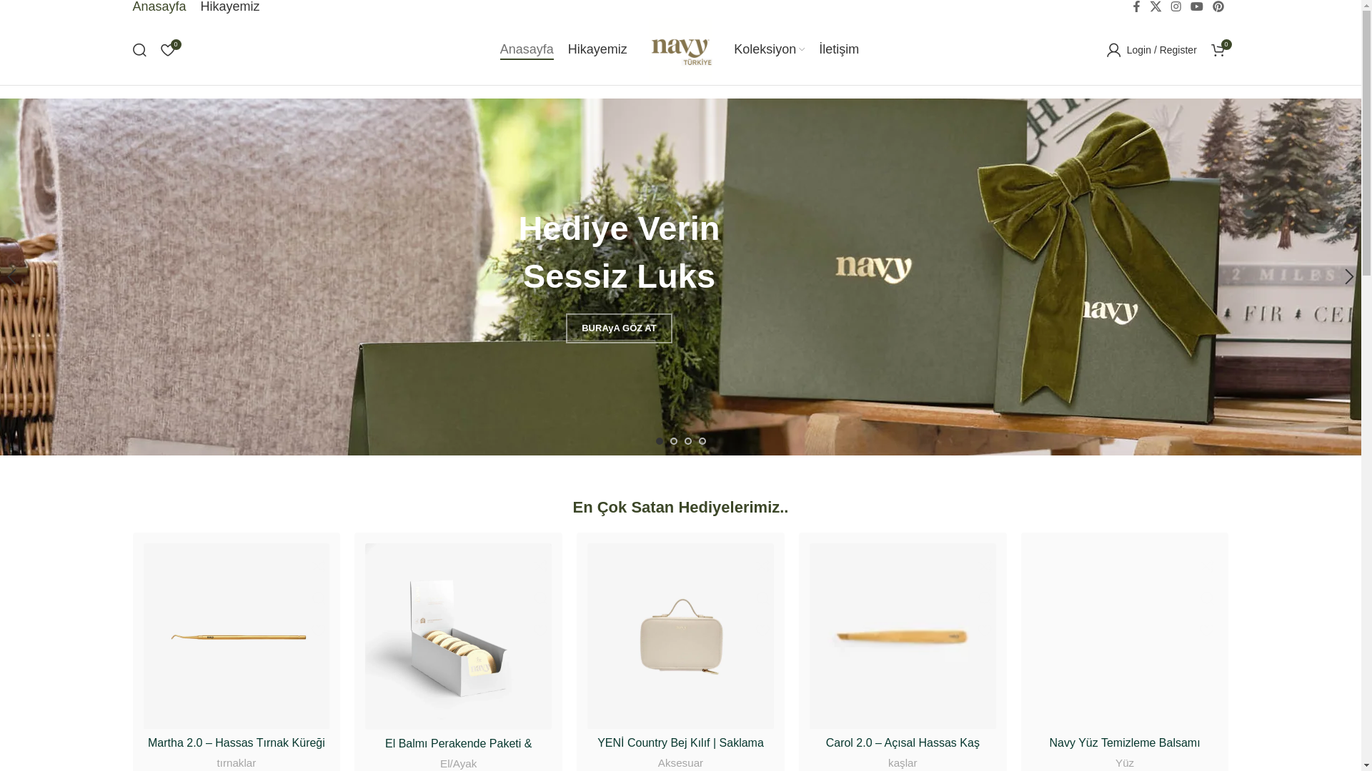 website screenshot of https://navyprofessional.tr/