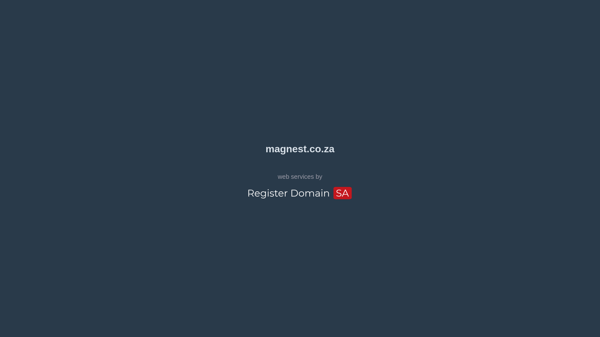 website screenshot of https://magnest.co.za/