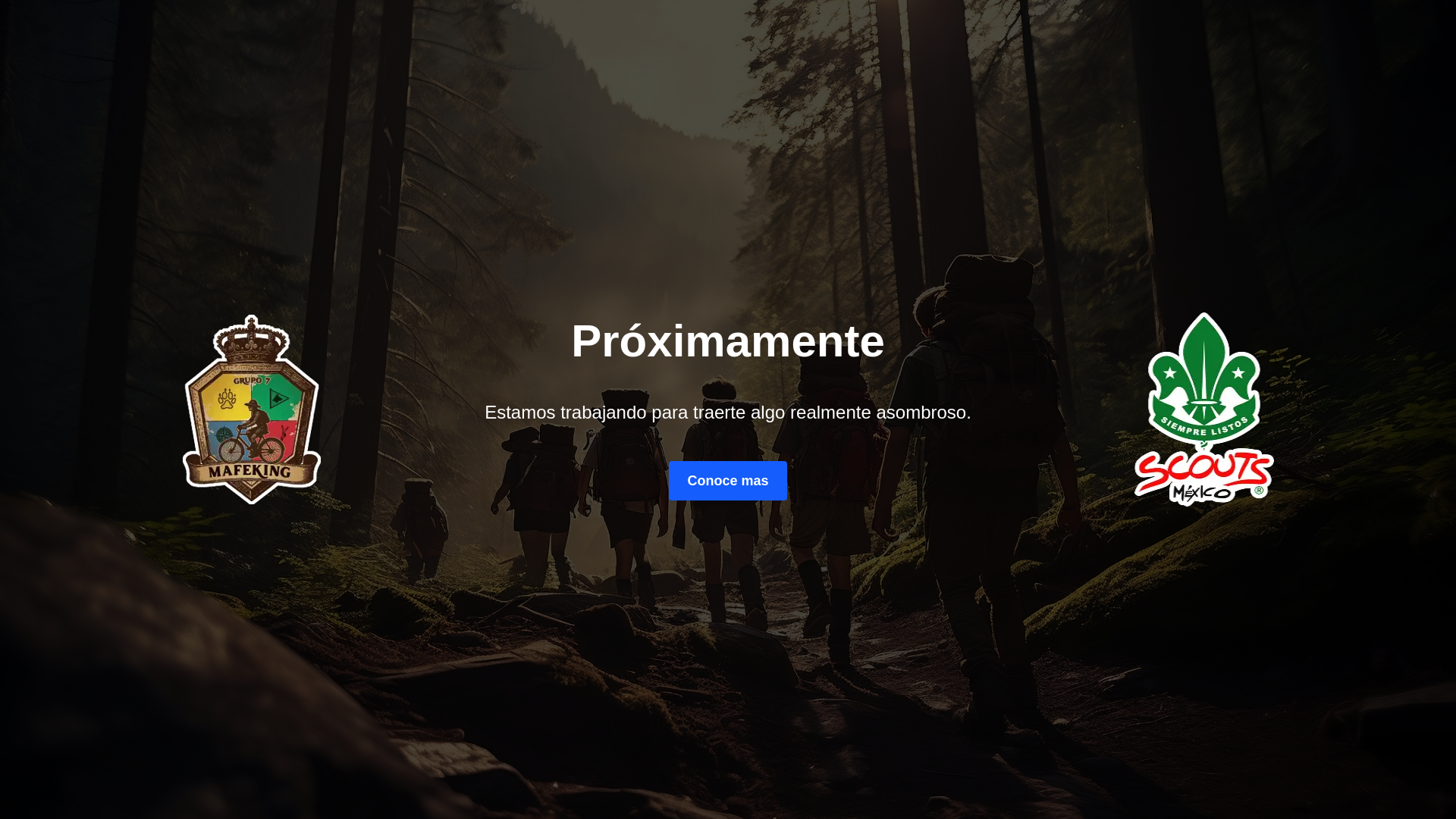 website screenshot of https://mafeking.mx/