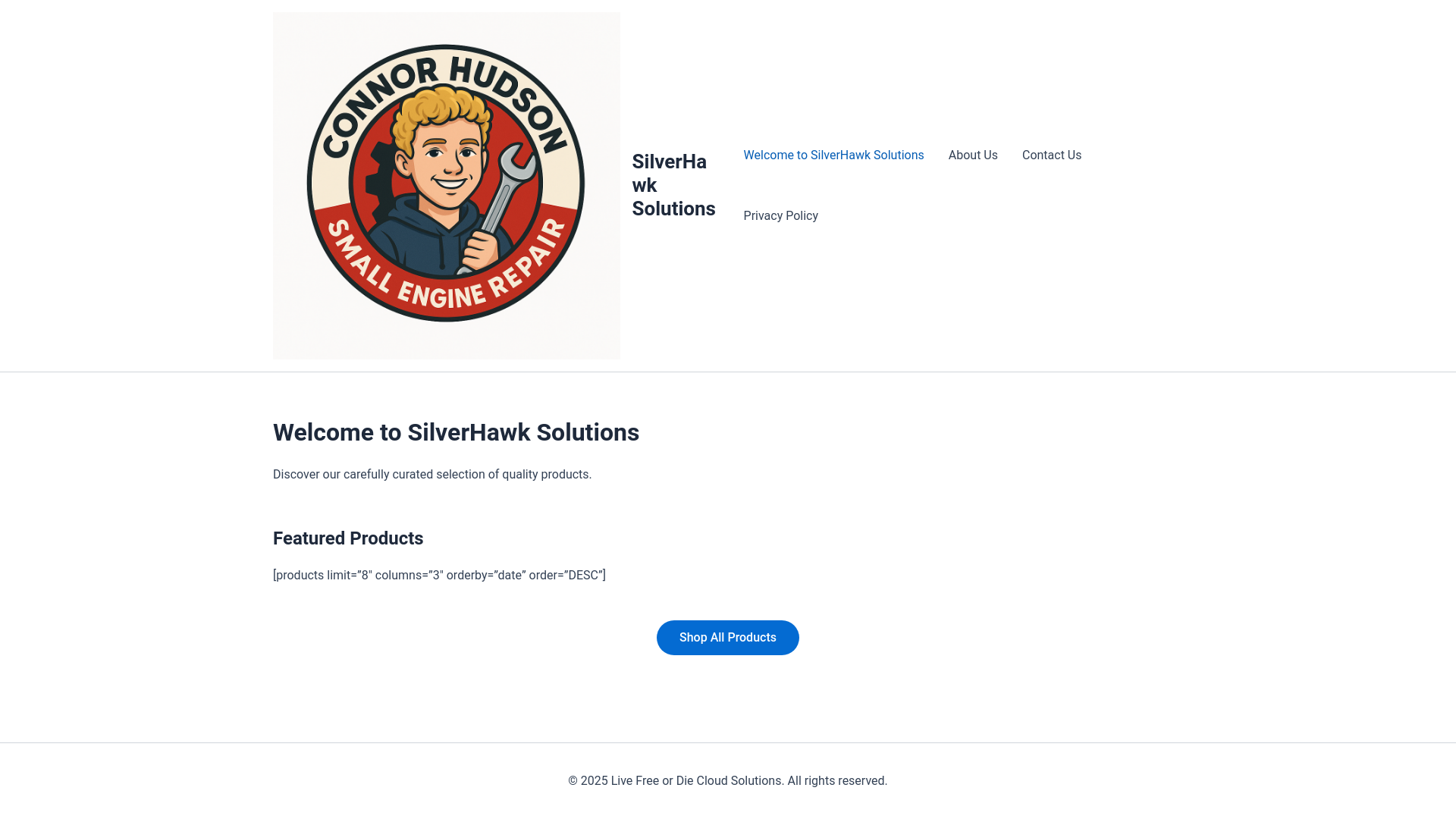 website screenshot of https://test593847.online/