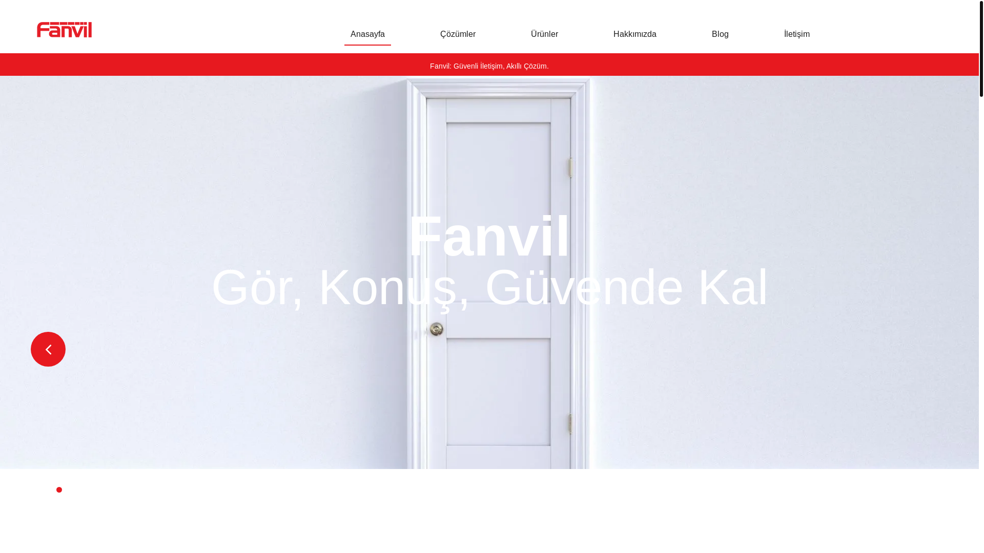website screenshot of https://fanvilturkey.com/