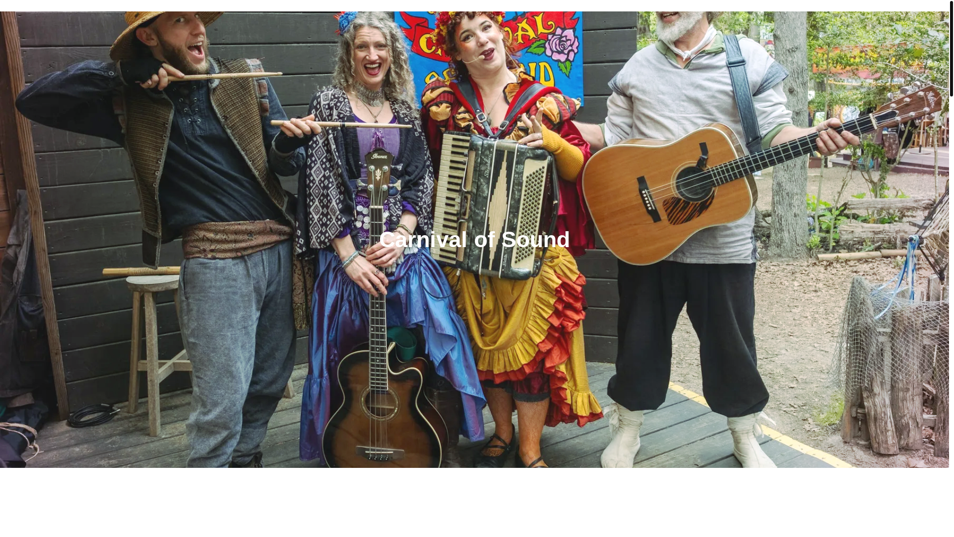 website screenshot of https://carnivalofsoundepk.com/