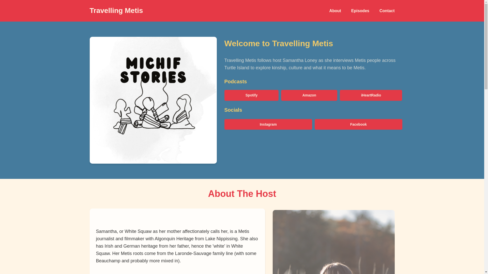 website screenshot of https://travellingmetis.pages.dev/
