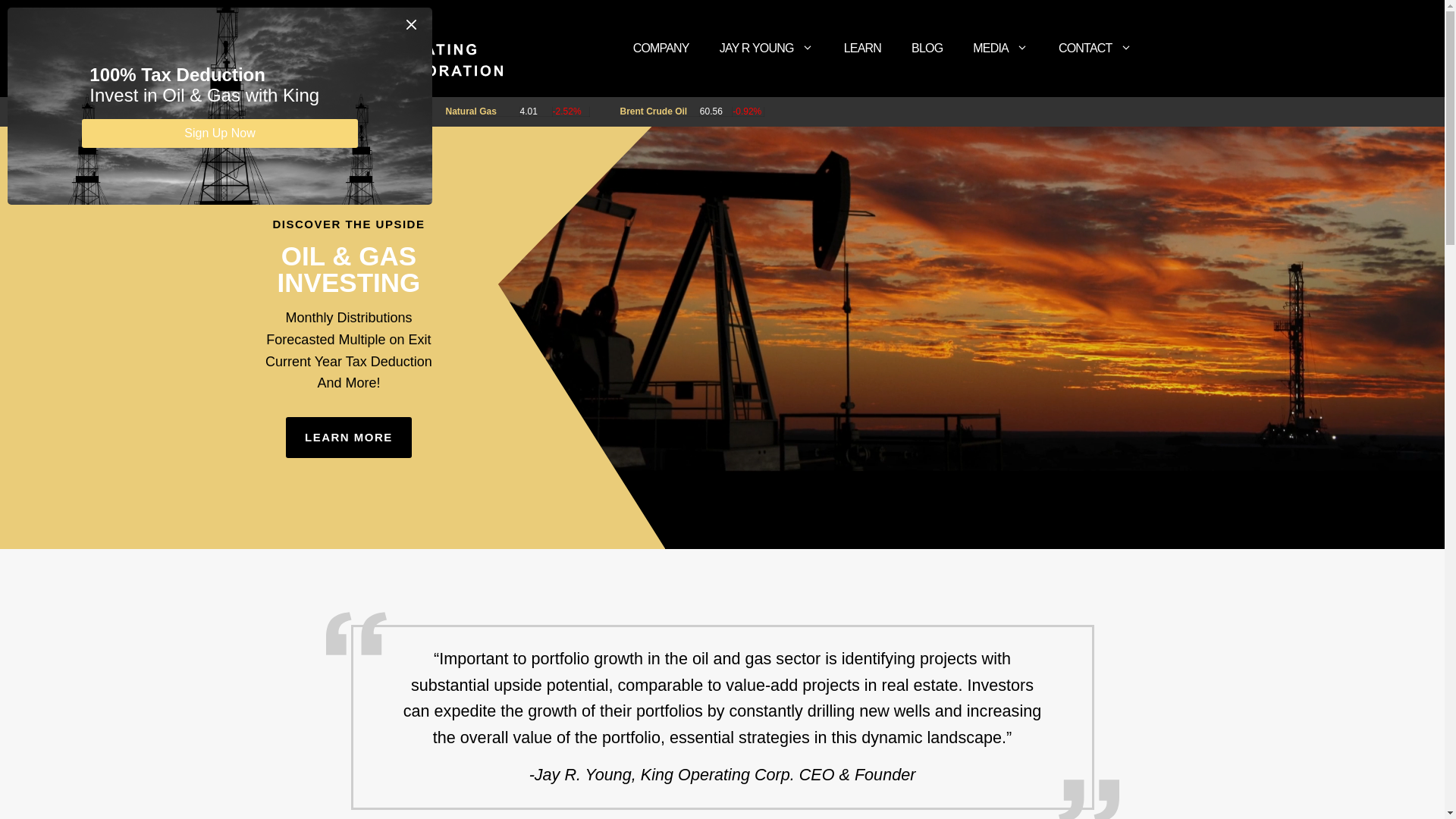 website screenshot of https://kingoperatingpartners.com/