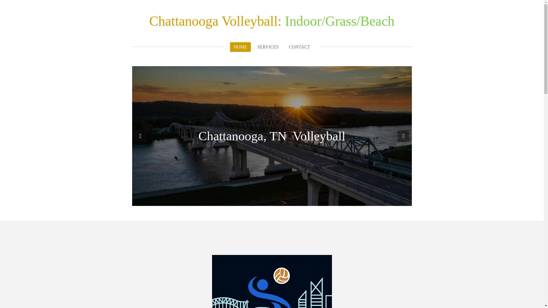 website screenshot of https://noogabashvolleyball.com/