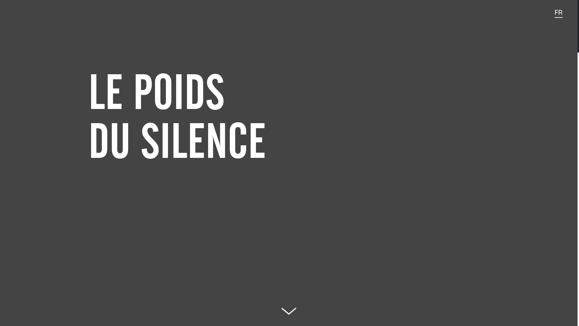 website screenshot of https://eenzwarestilte.be/