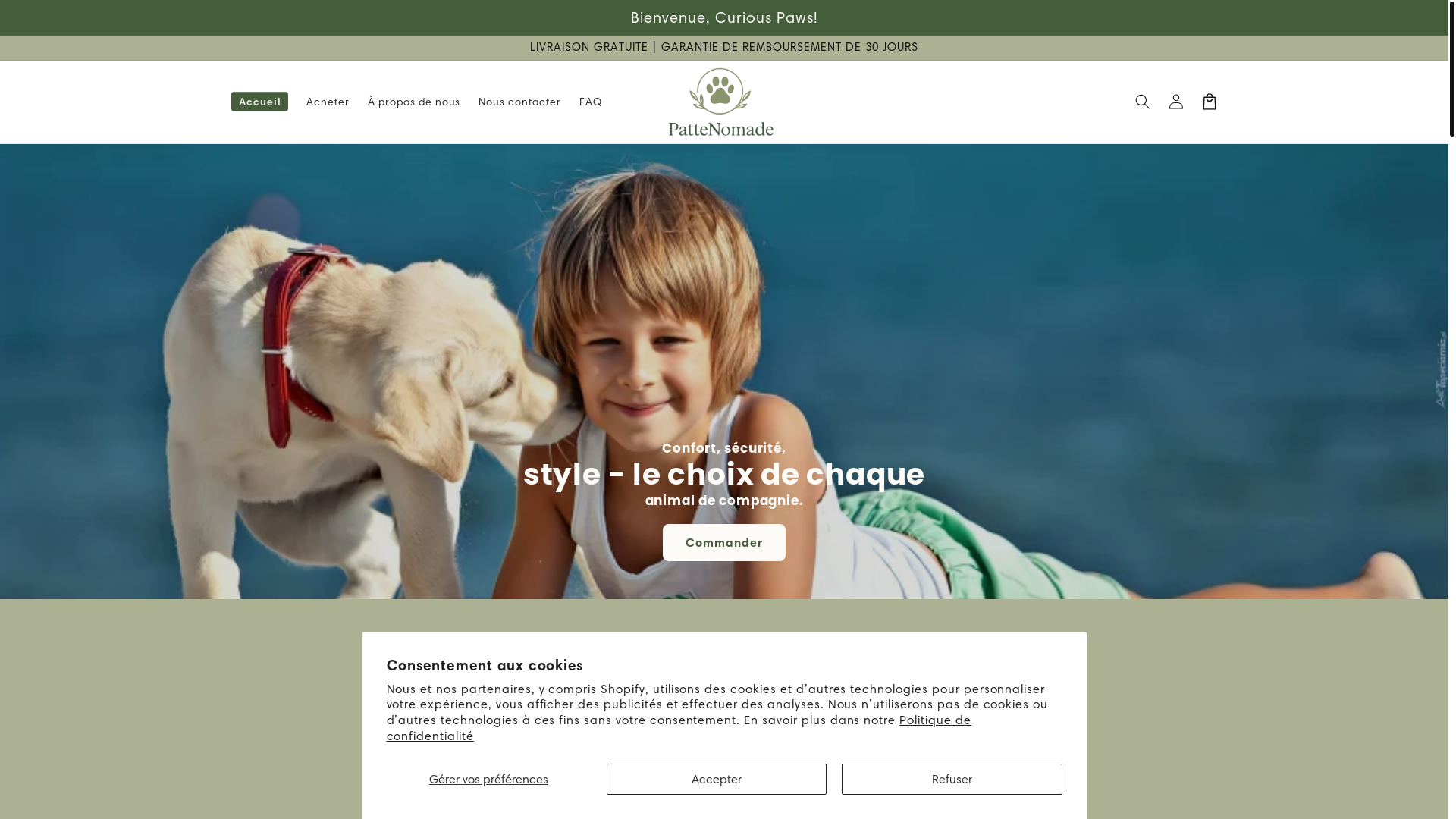 website screenshot of https://pattenomade.com/
