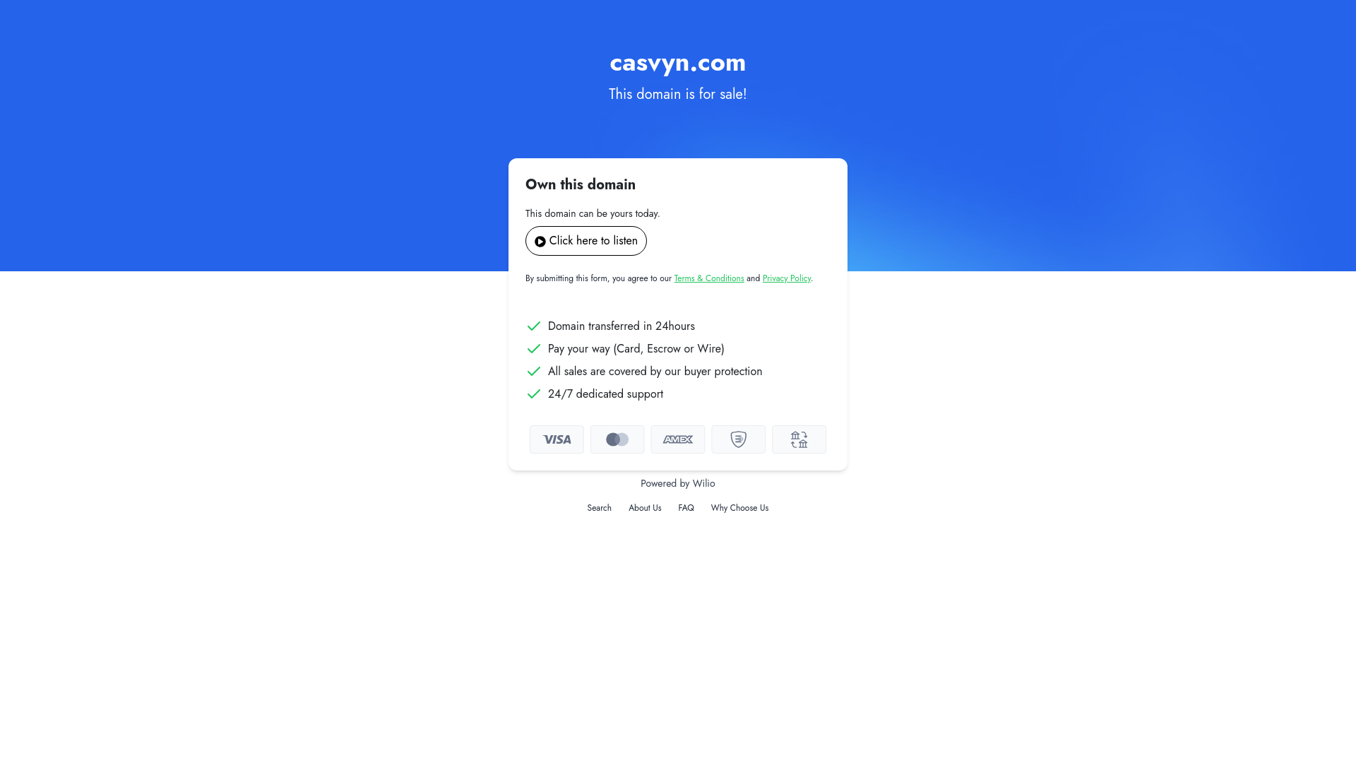 website screenshot of https://casvyn.com/