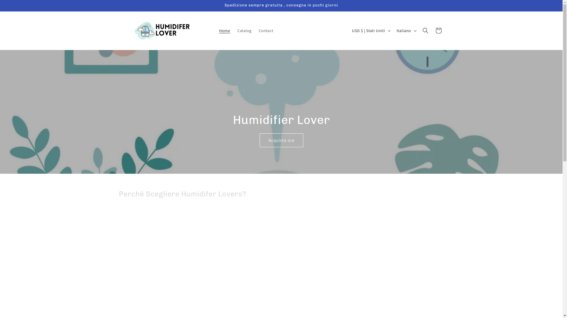 website screenshot of https://humidifierlover.com/