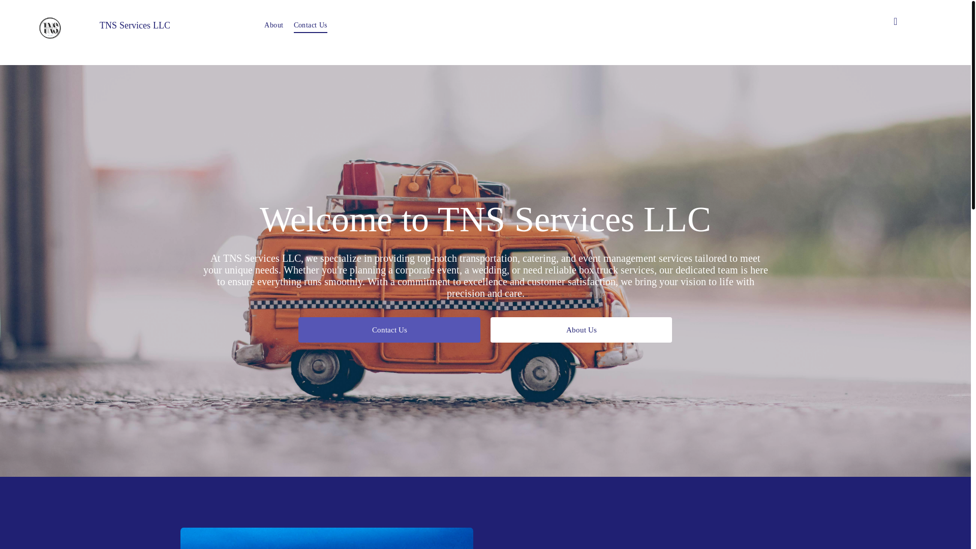 website screenshot of https://tnsservicesllc.com/
