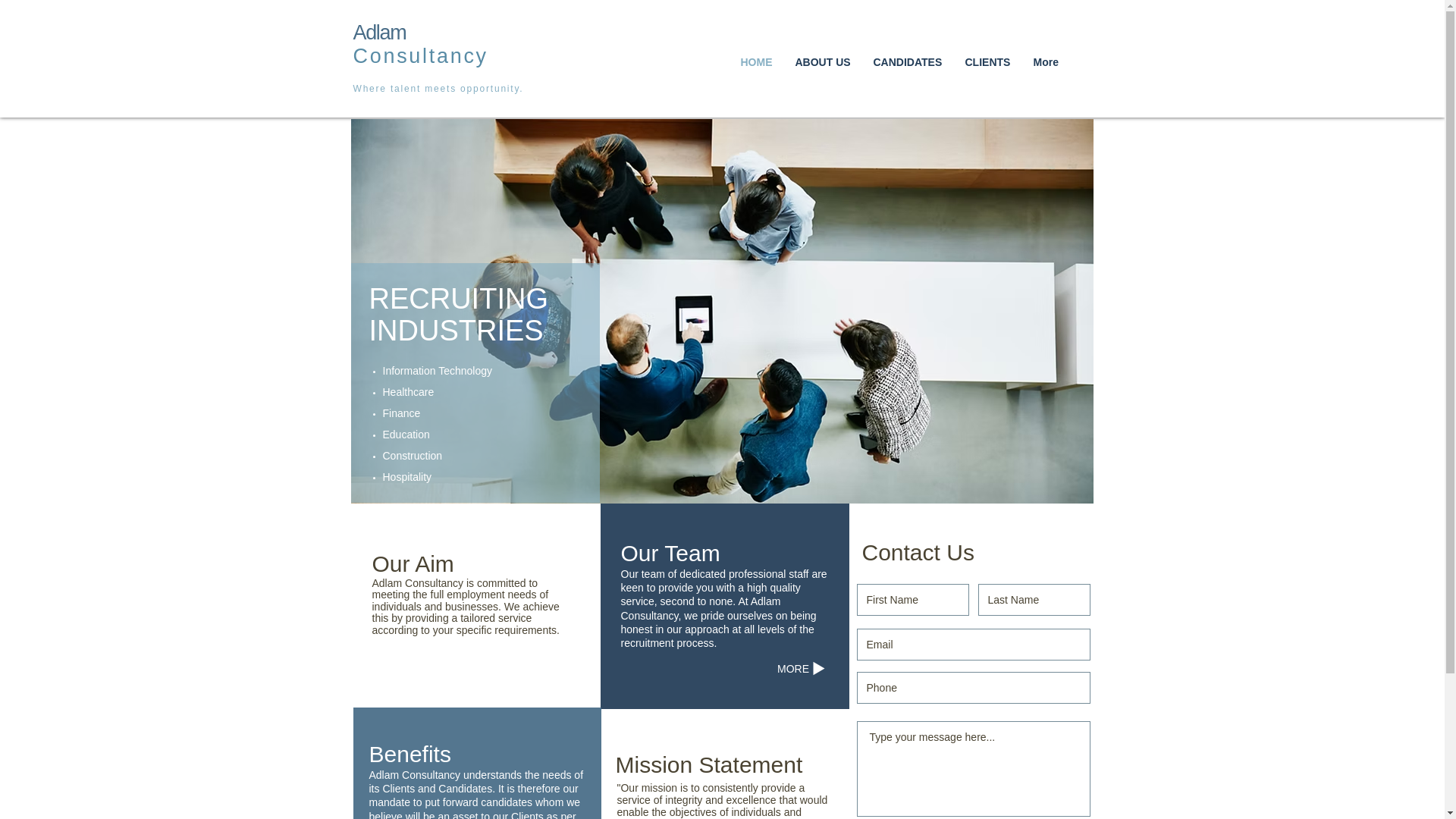 website screenshot of https://adlamconsultancy.co.uk/