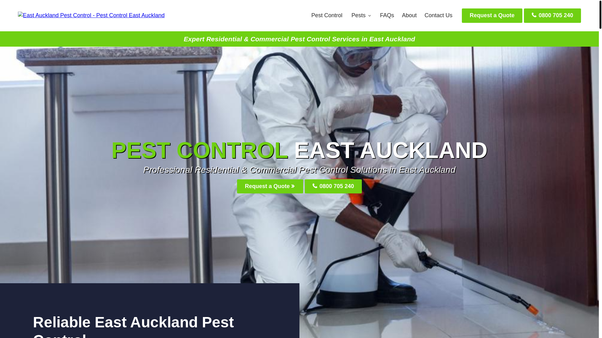 website screenshot of https://eastaucklandpestcontrol-co-nz.pages.dev/