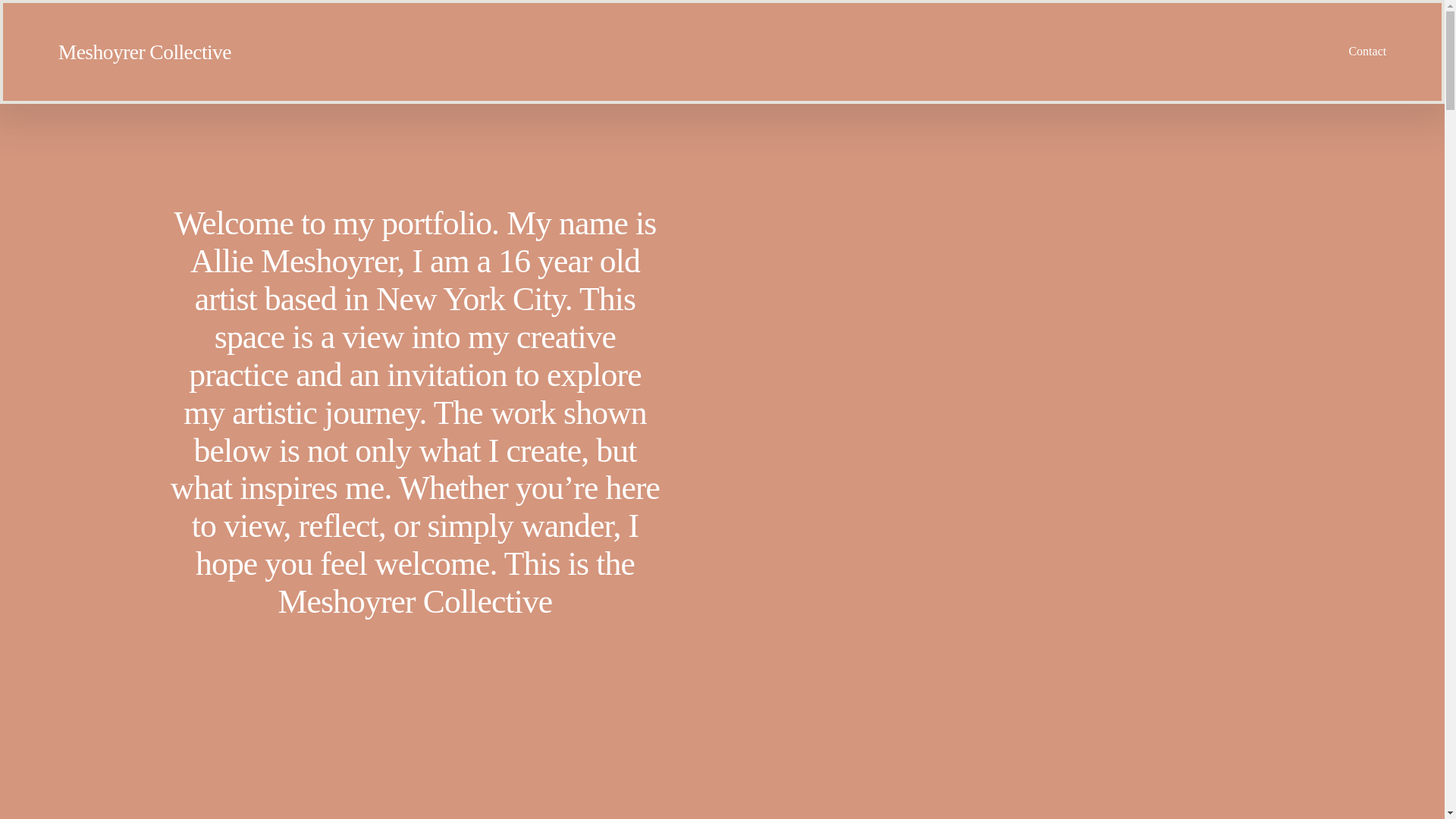 website screenshot of https://meshoyrercollective.com/
