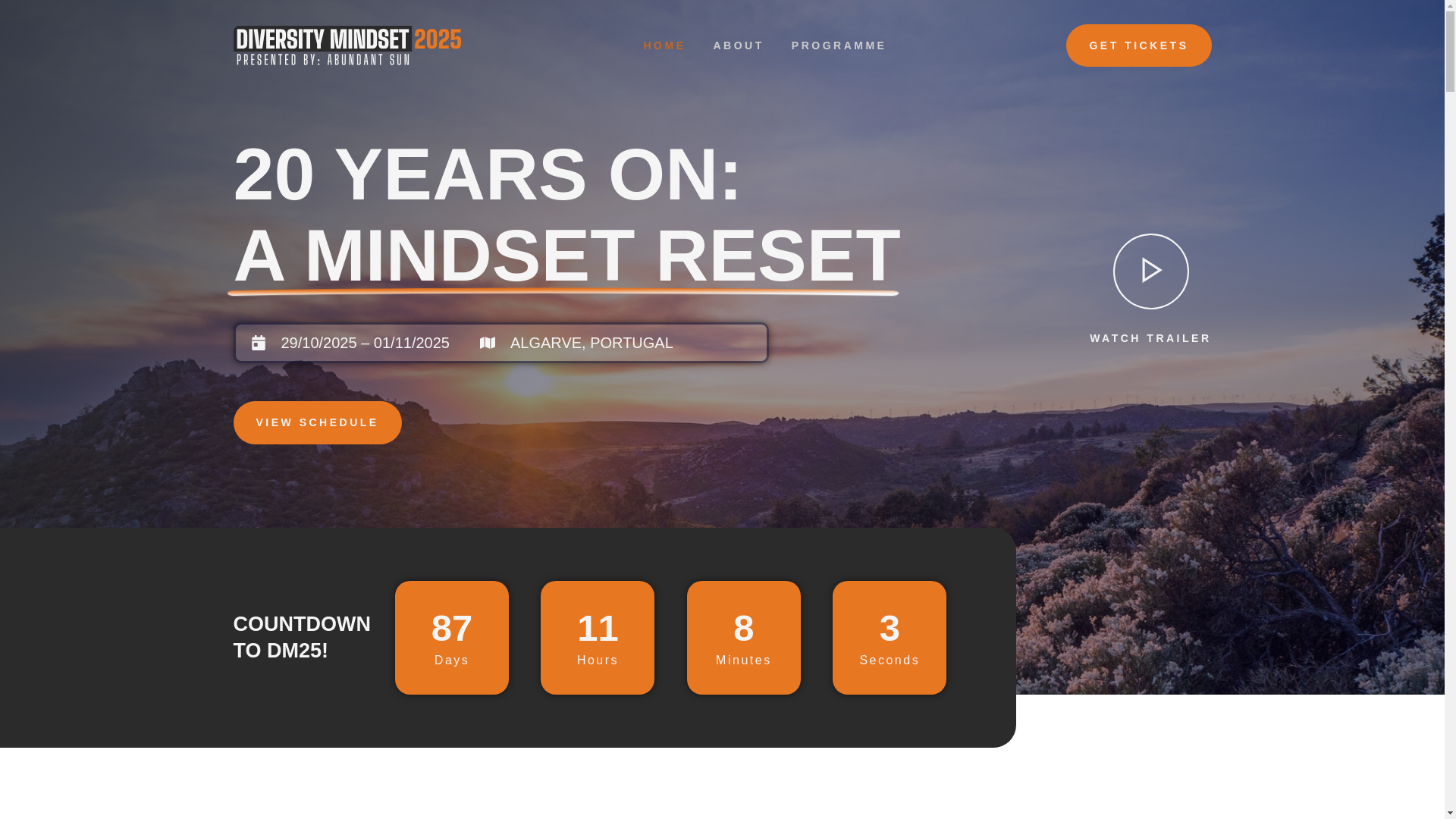 website screenshot of https://diversitymindset.net/