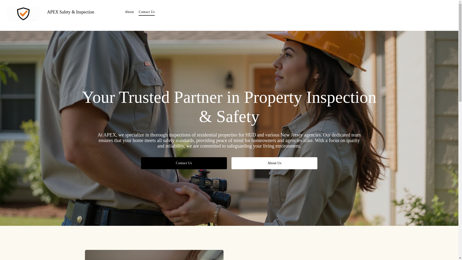 website screenshot of https://apexinspects.biz/