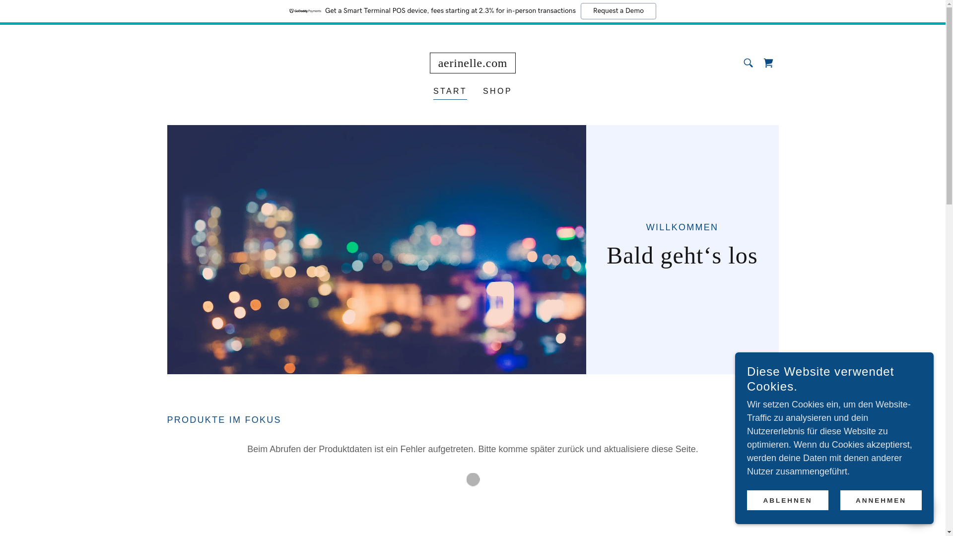 website screenshot of https://aerinelle.com/