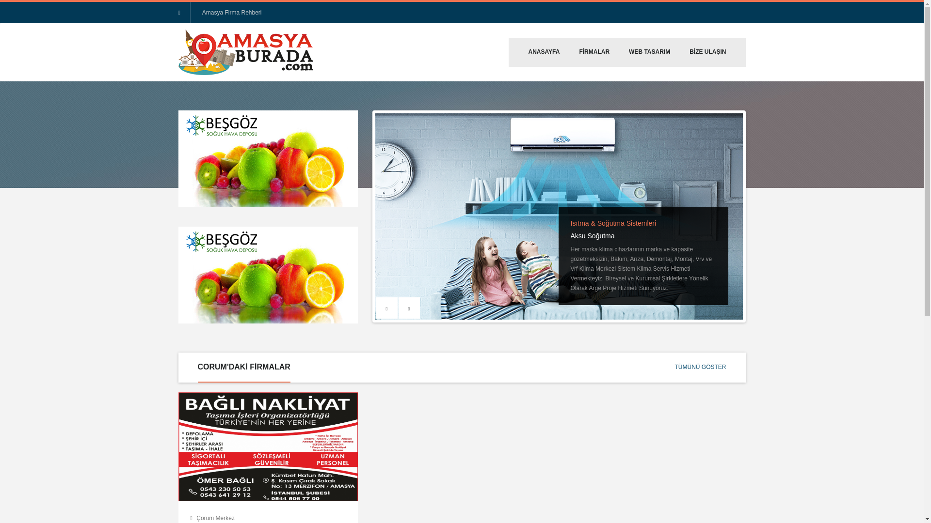 website screenshot of https://amasyaburada.com.tr/