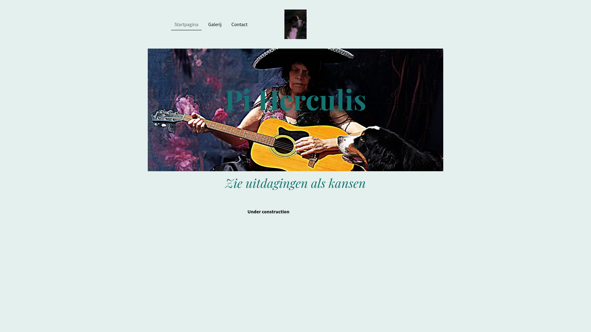 website screenshot of https://piherculis.com/