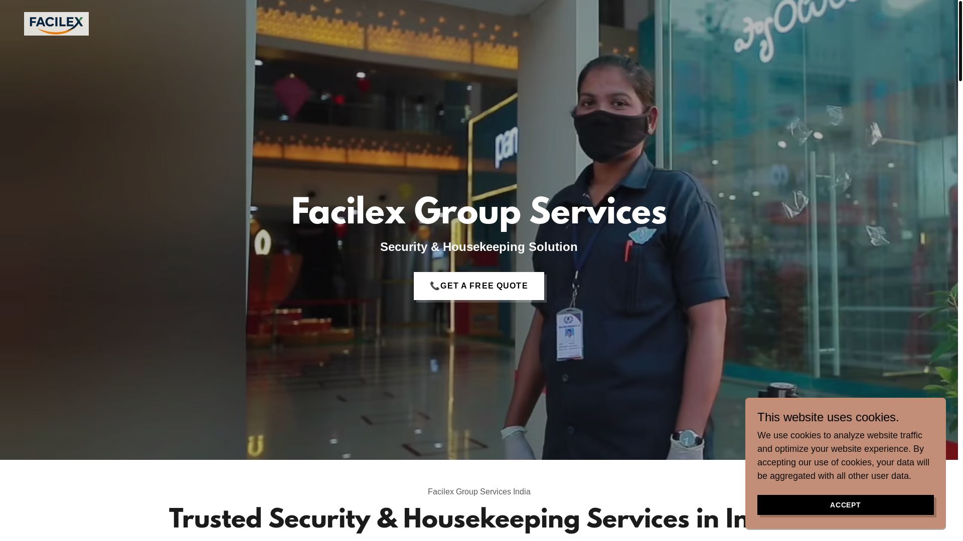website screenshot of https://facilexgroupservices.site/