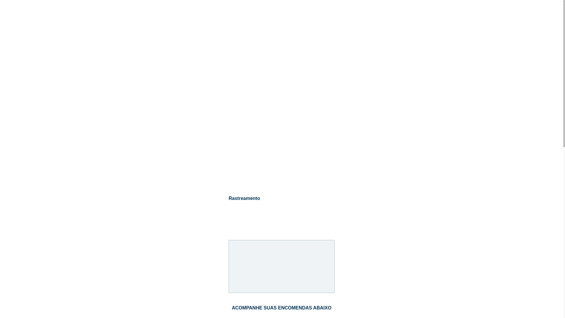 website screenshot of https://suaentregacorreios.site/