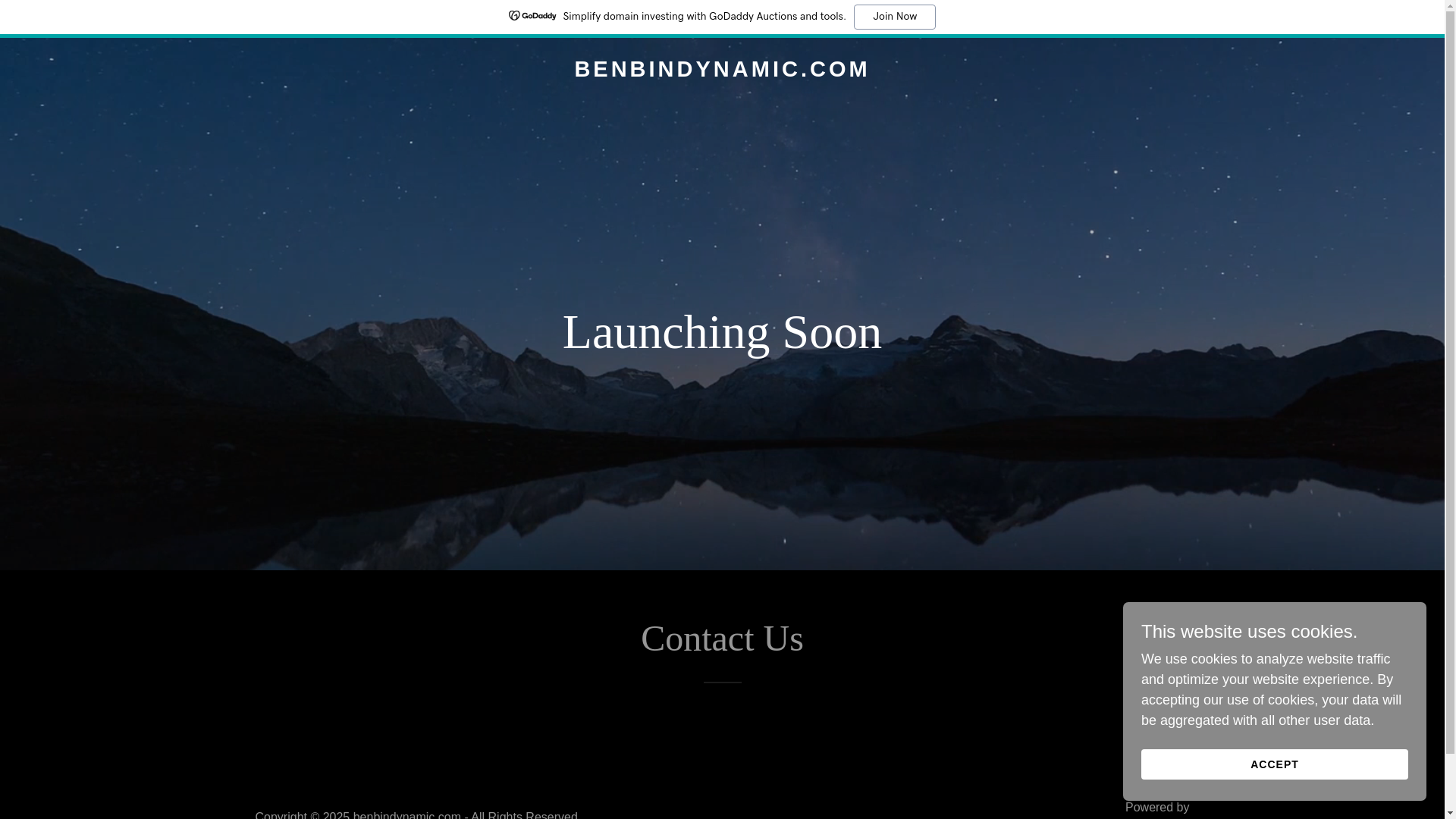 website screenshot of https://benbindynamic.com/