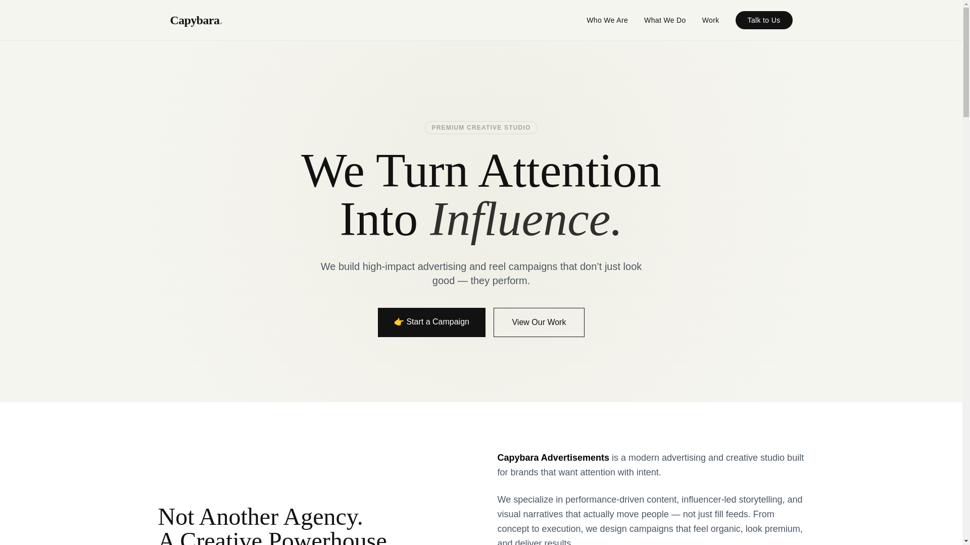 website screenshot of https://capybaraadvertisements.pages.dev/