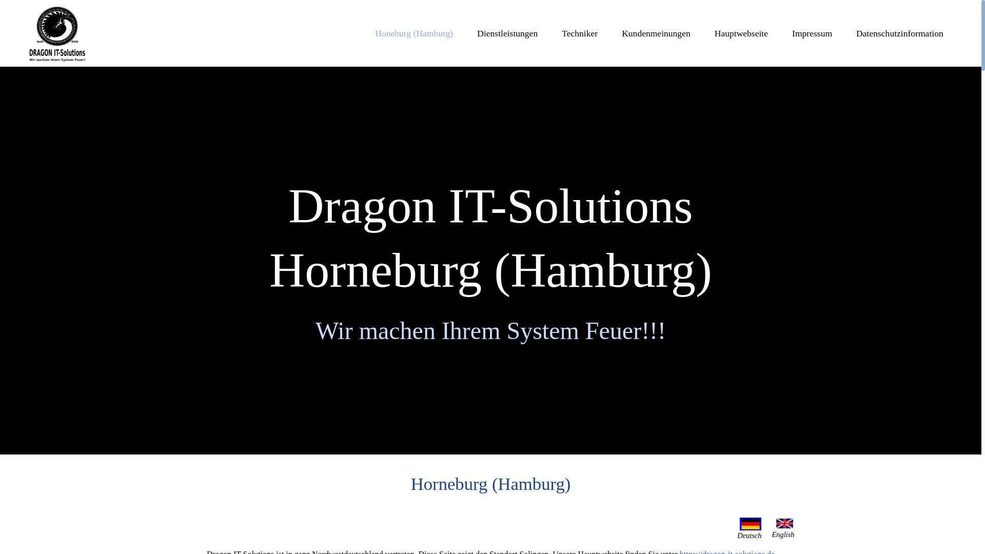 website screenshot of https://dits-hamburg.de/