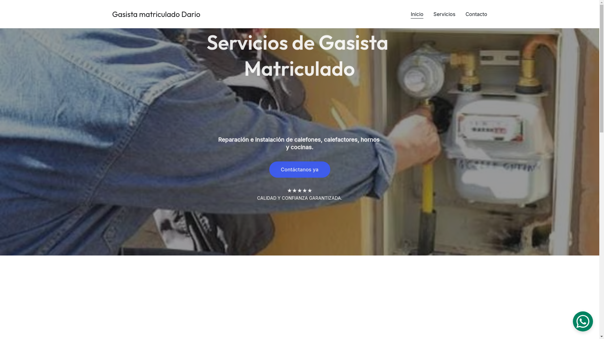 website screenshot of https://gasistamatriculadodario.com/
