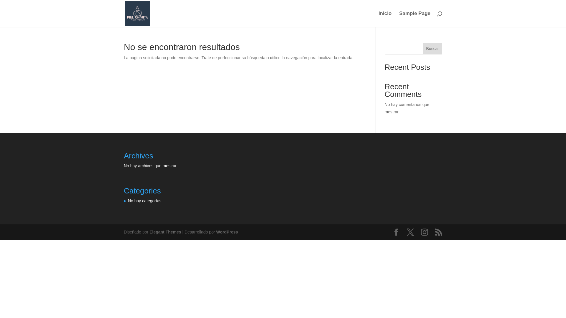 website screenshot of https://pielchinita.com.mx/