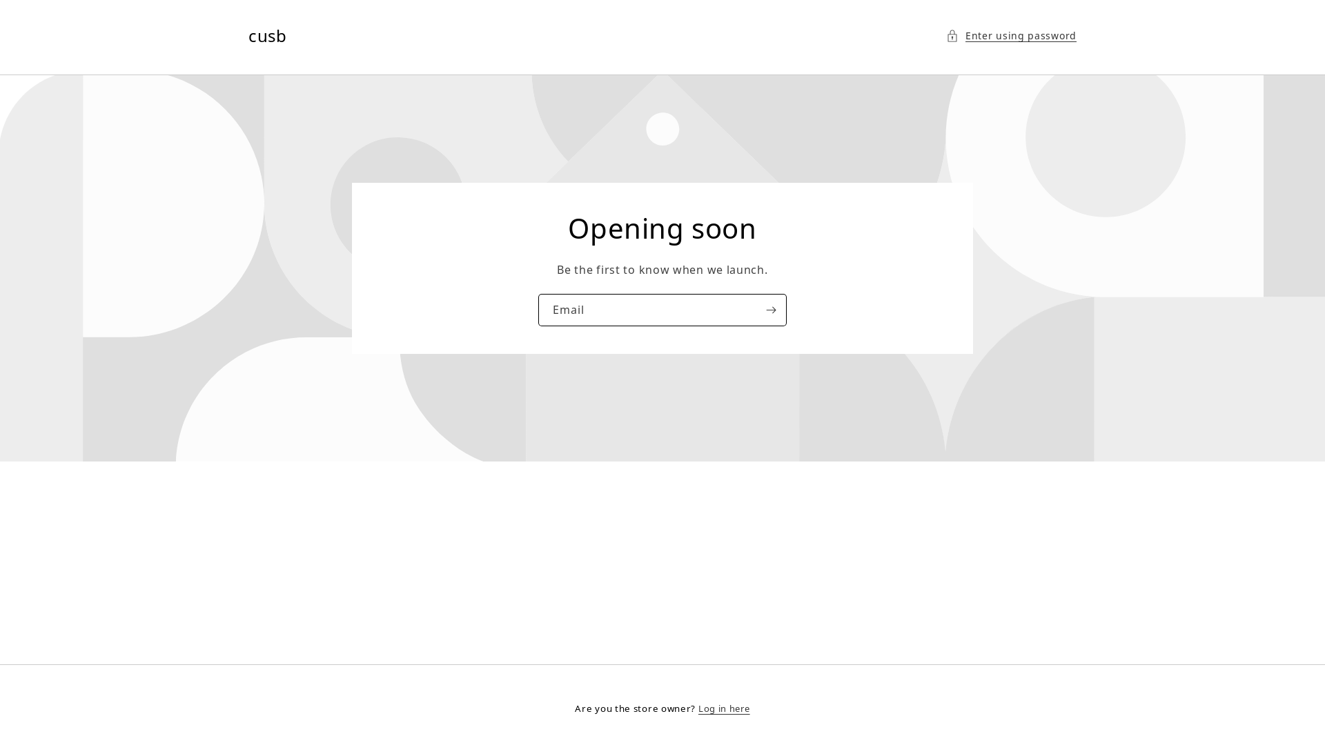 website screenshot of https://cusbwave.de/