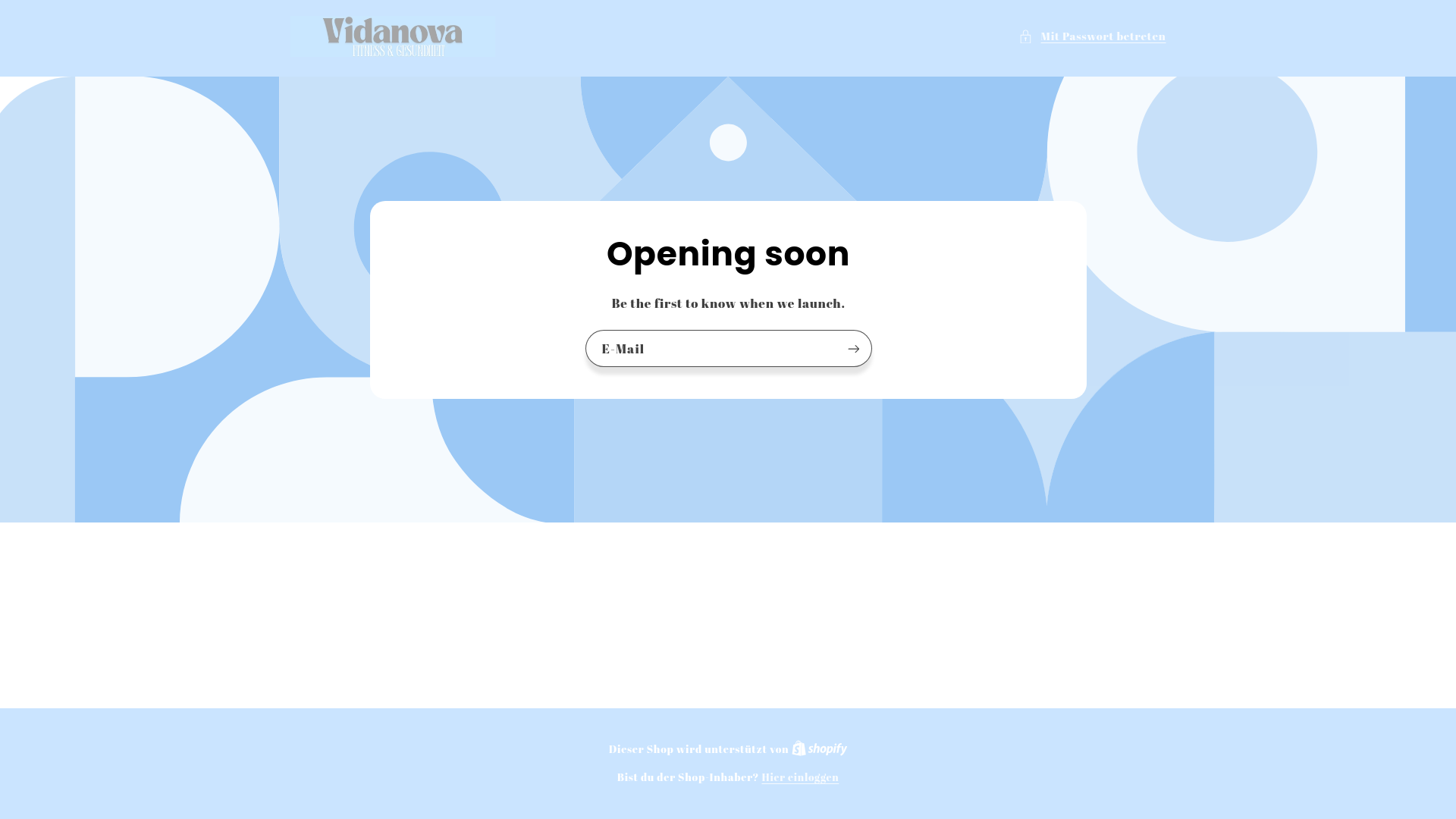 website screenshot of https://vidanovafitness.de/