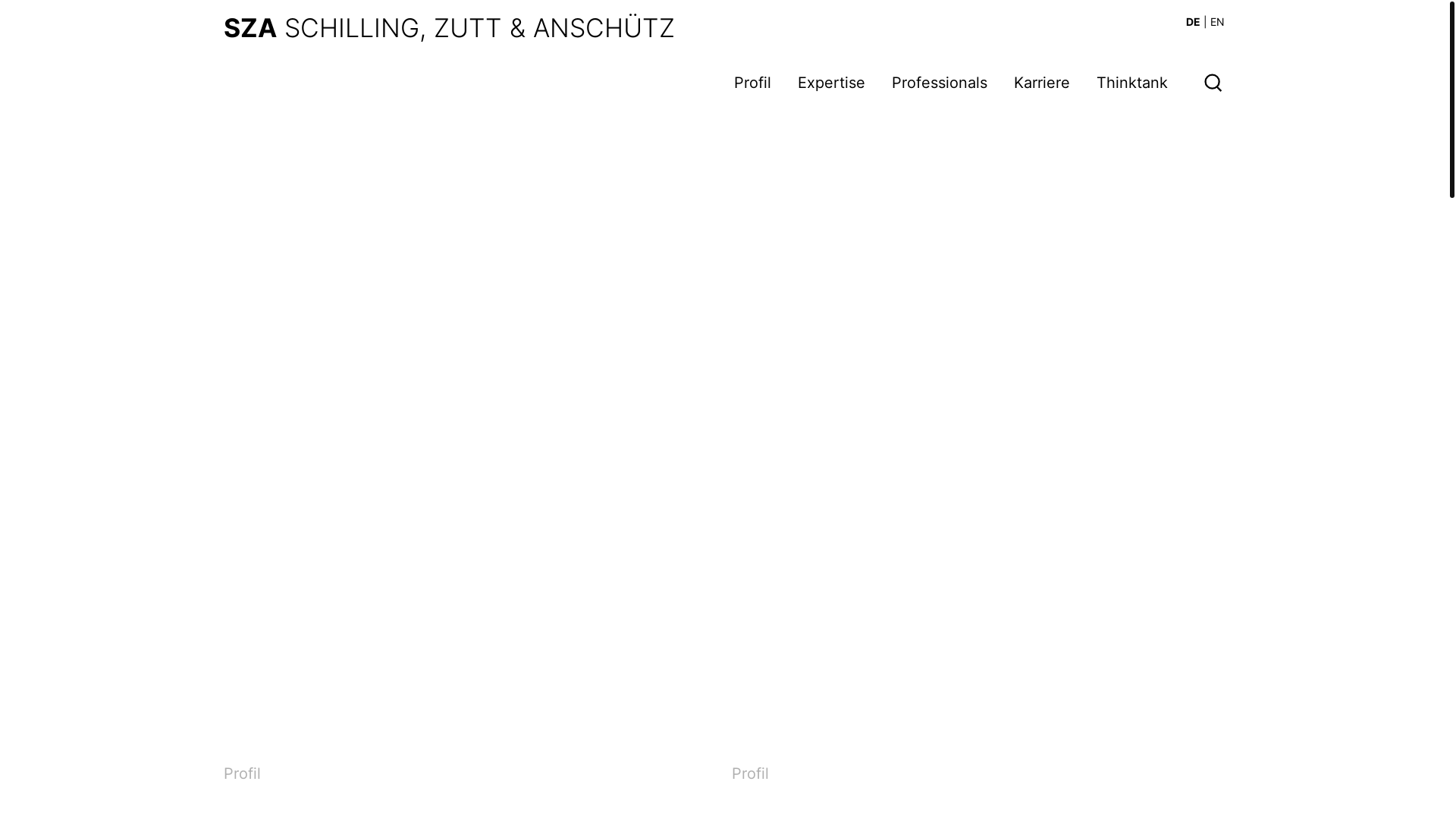 website screenshot of https://sza.de/