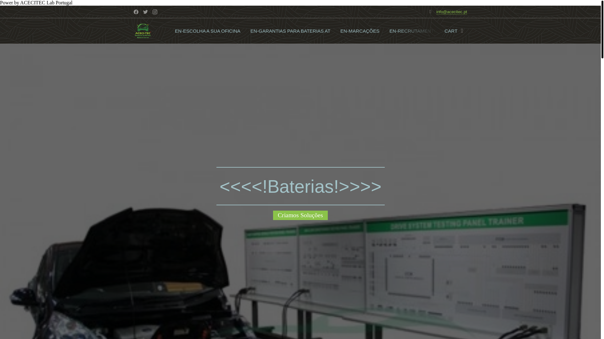 website screenshot of https://acecitec.org/