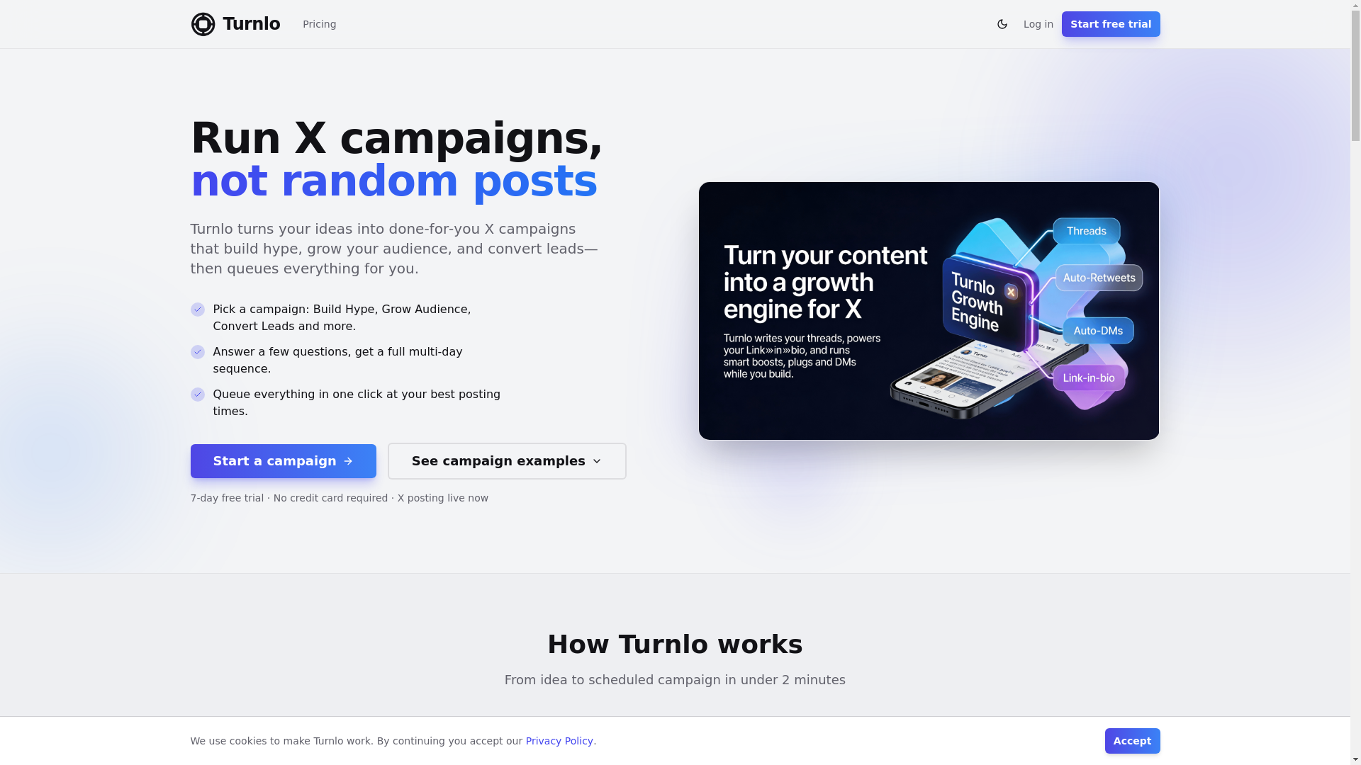website screenshot of https://turnlo.com