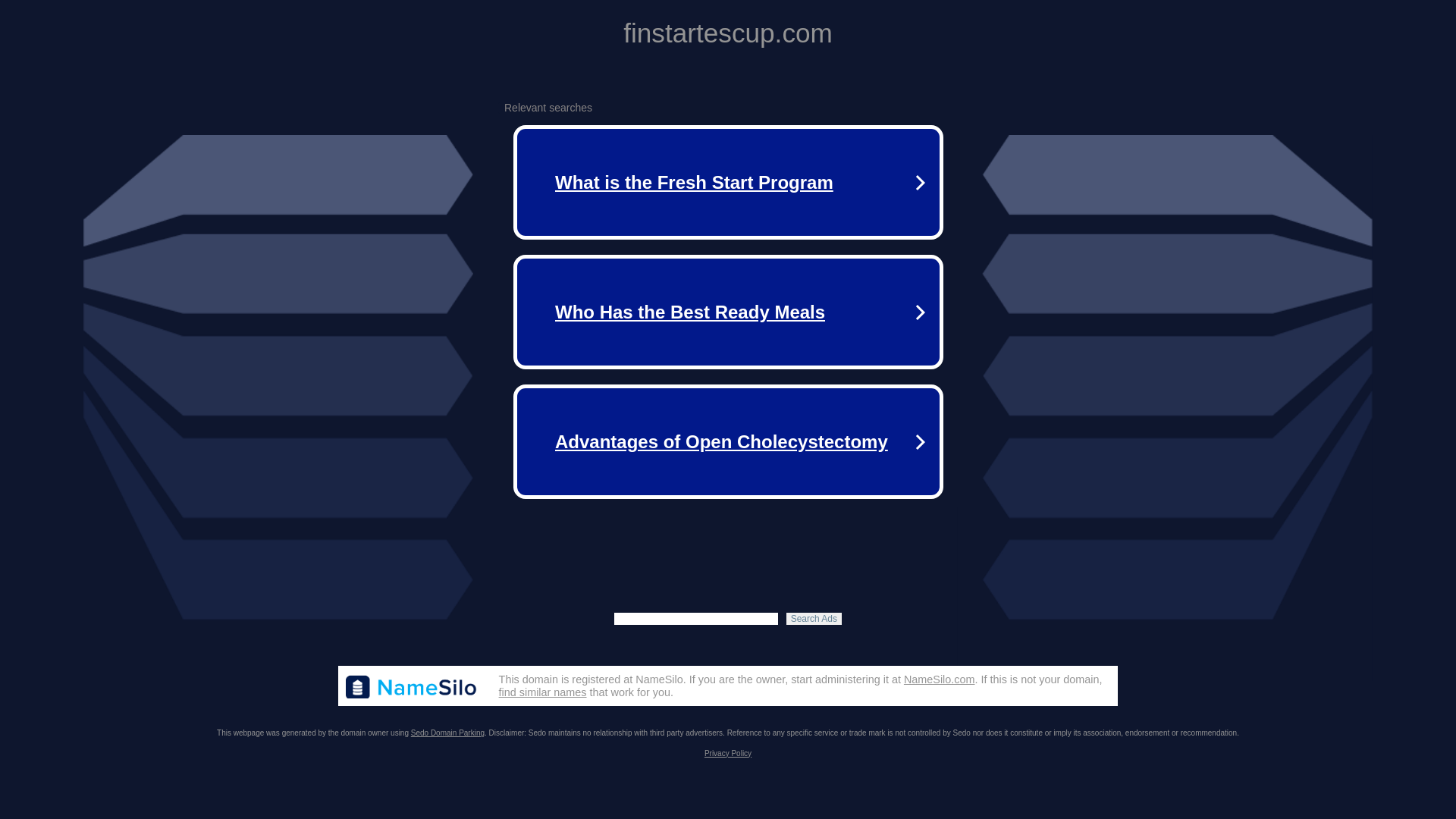 website screenshot of https://finstartescup.com/