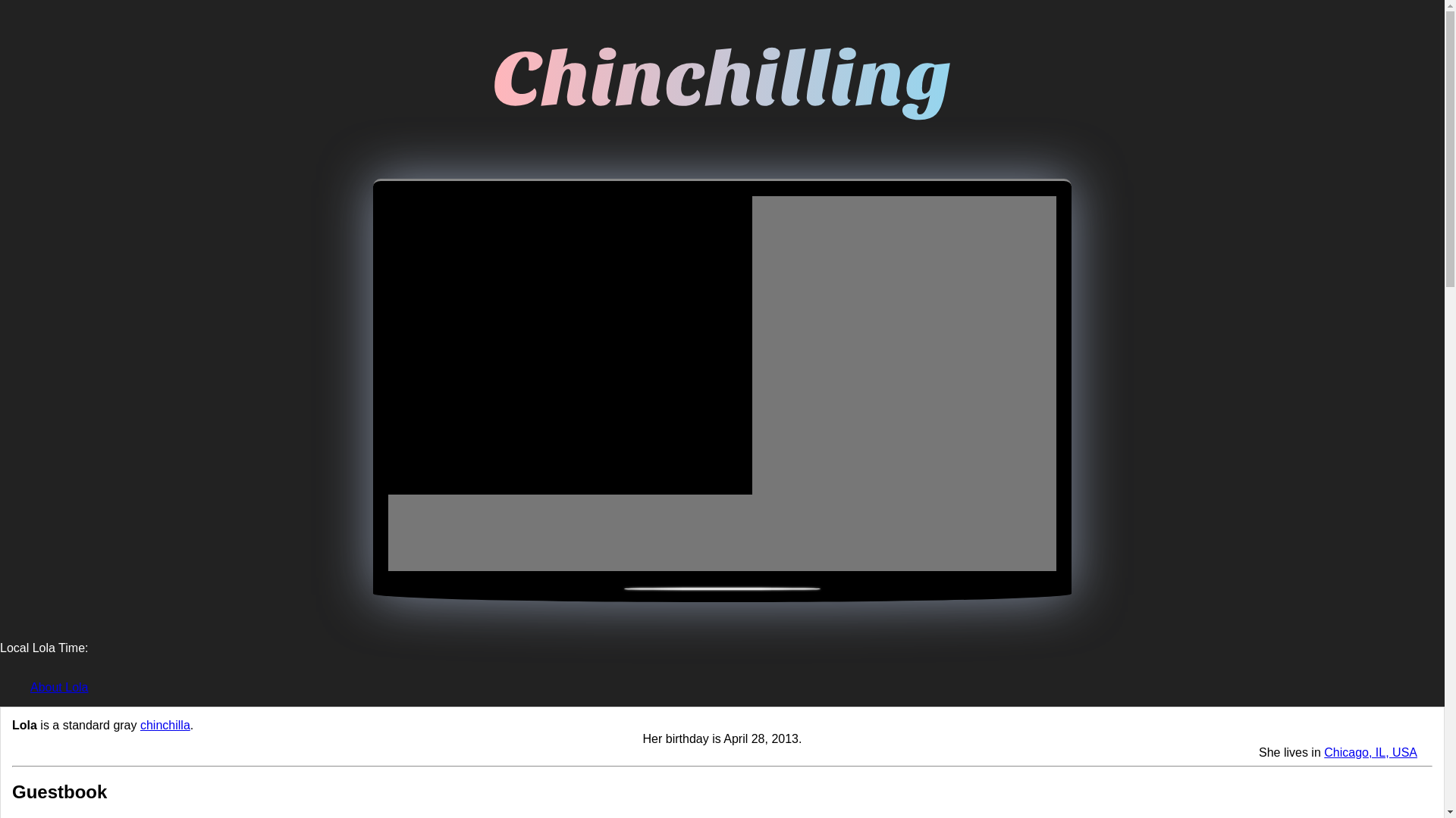 website screenshot of https://chinchilling.org/