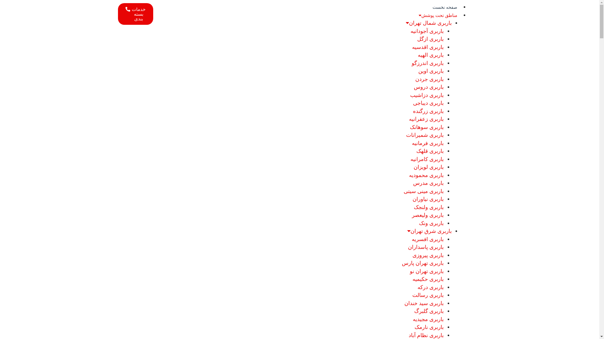 website screenshot of https://zamenbarr.com/