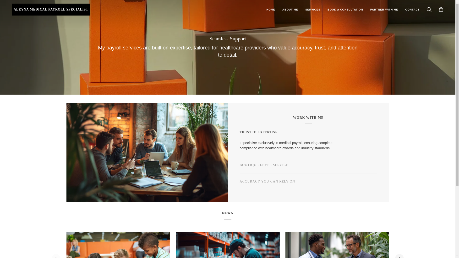 website screenshot of https://aleynapayroll.com/