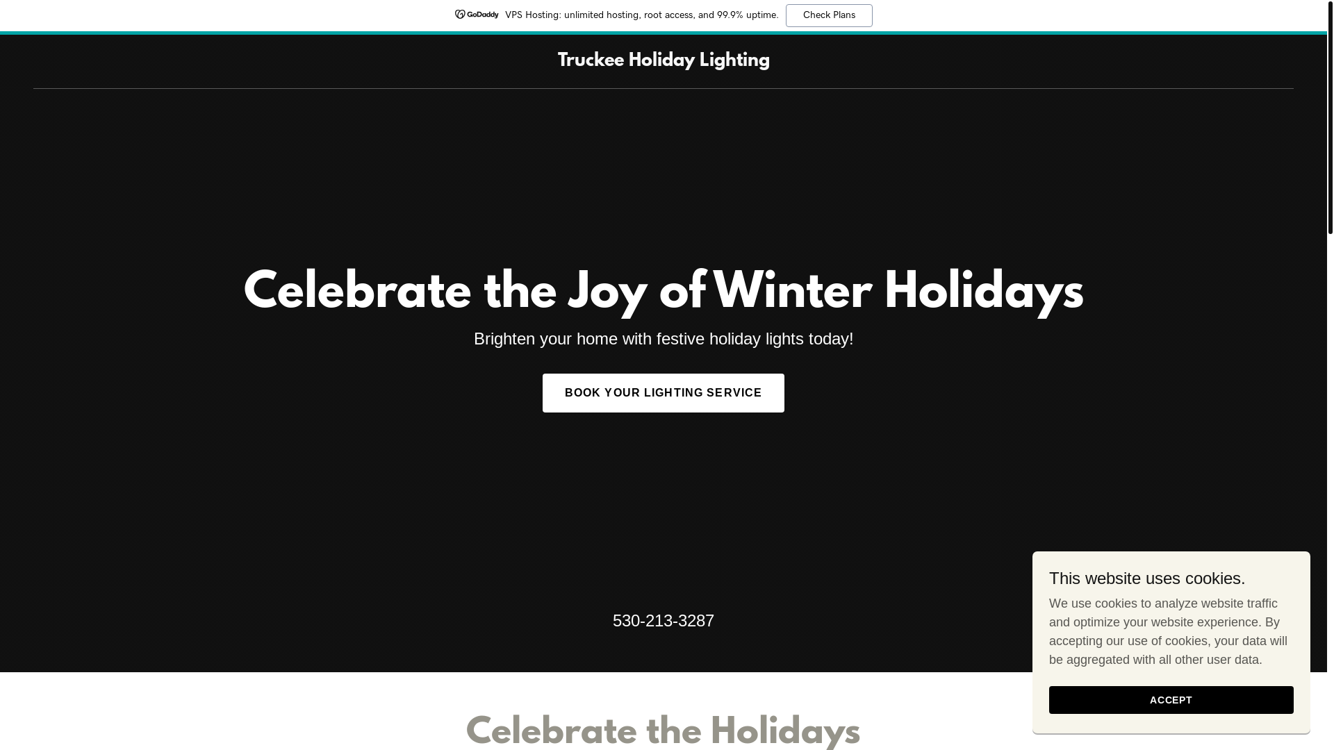 website screenshot of https://truckeeholidaylighting.com/