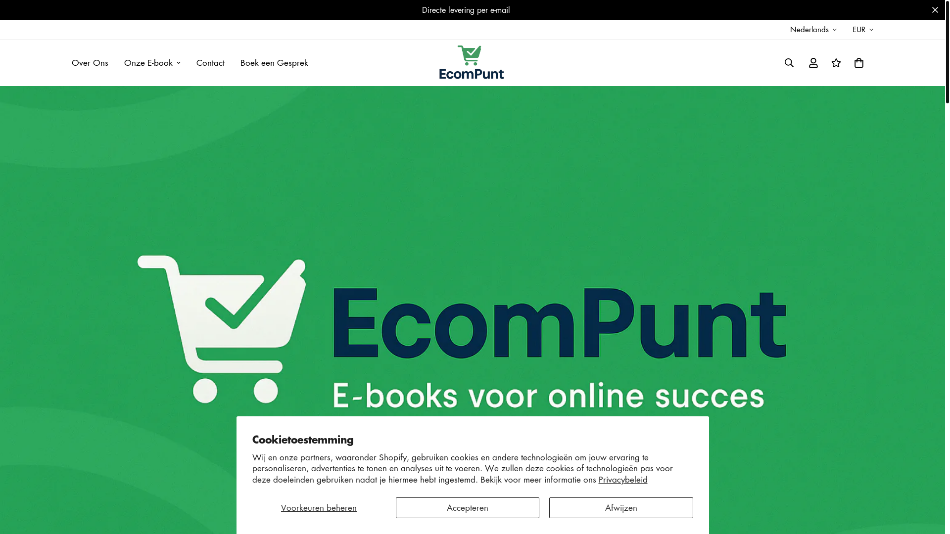 website screenshot of https://ecompunt-ebook.com/