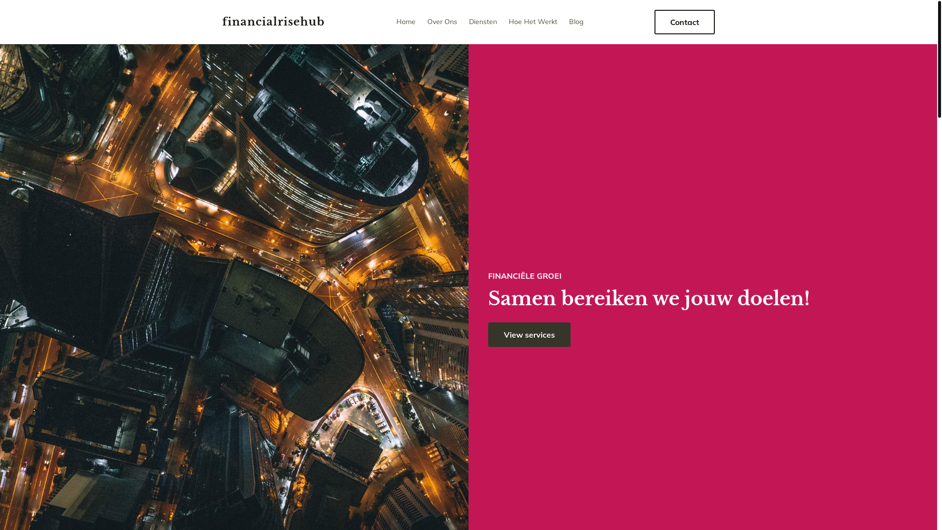 website screenshot of https://financialrisehub.com/