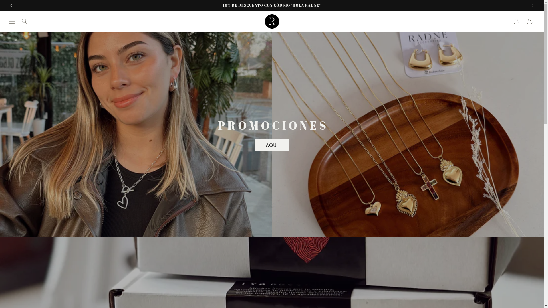 website screenshot of https://radne.cl/