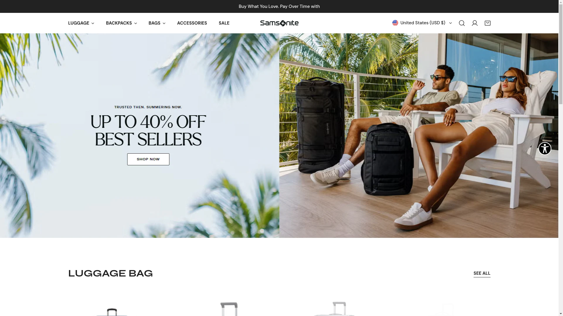 website screenshot of https://salmsonite.com/