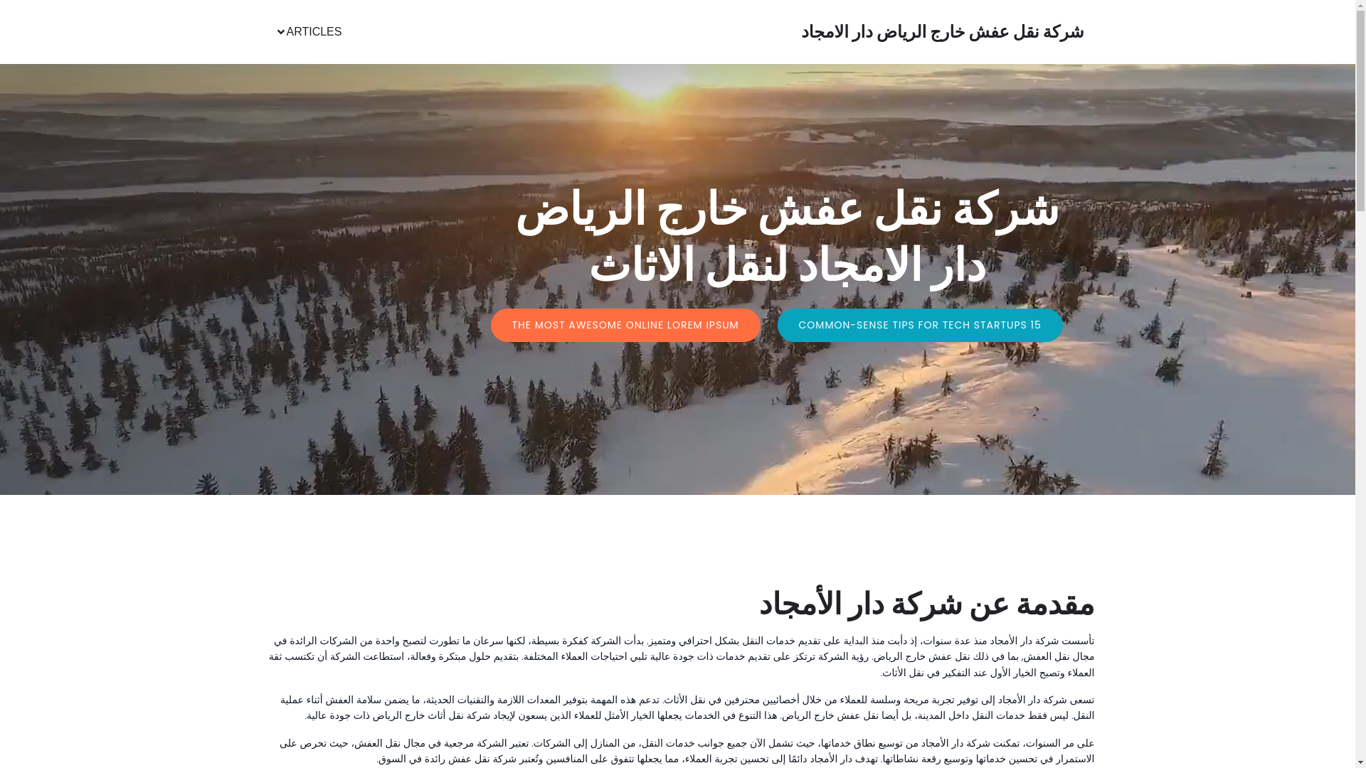 website screenshot of https://sharikatdaralamjadlilnaql.online/
