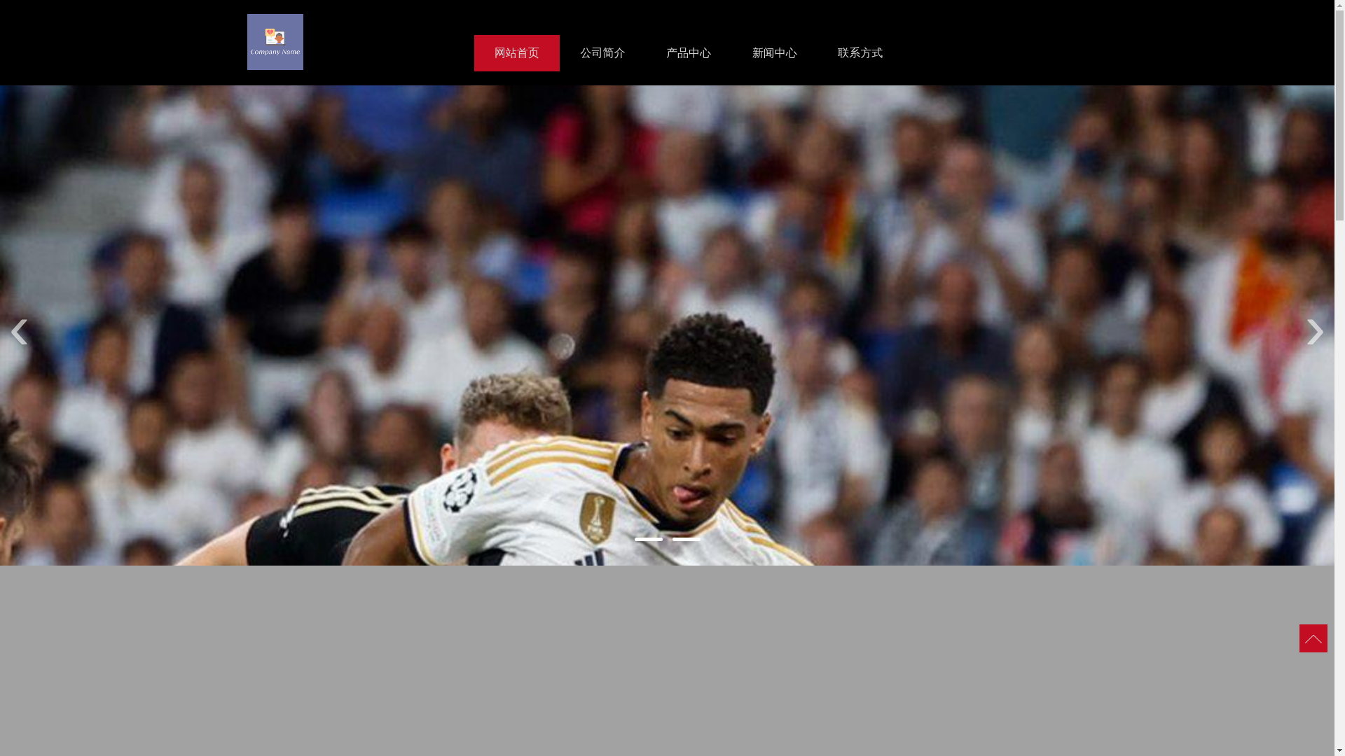 website screenshot of https://zn-chs-kaiyun.com/