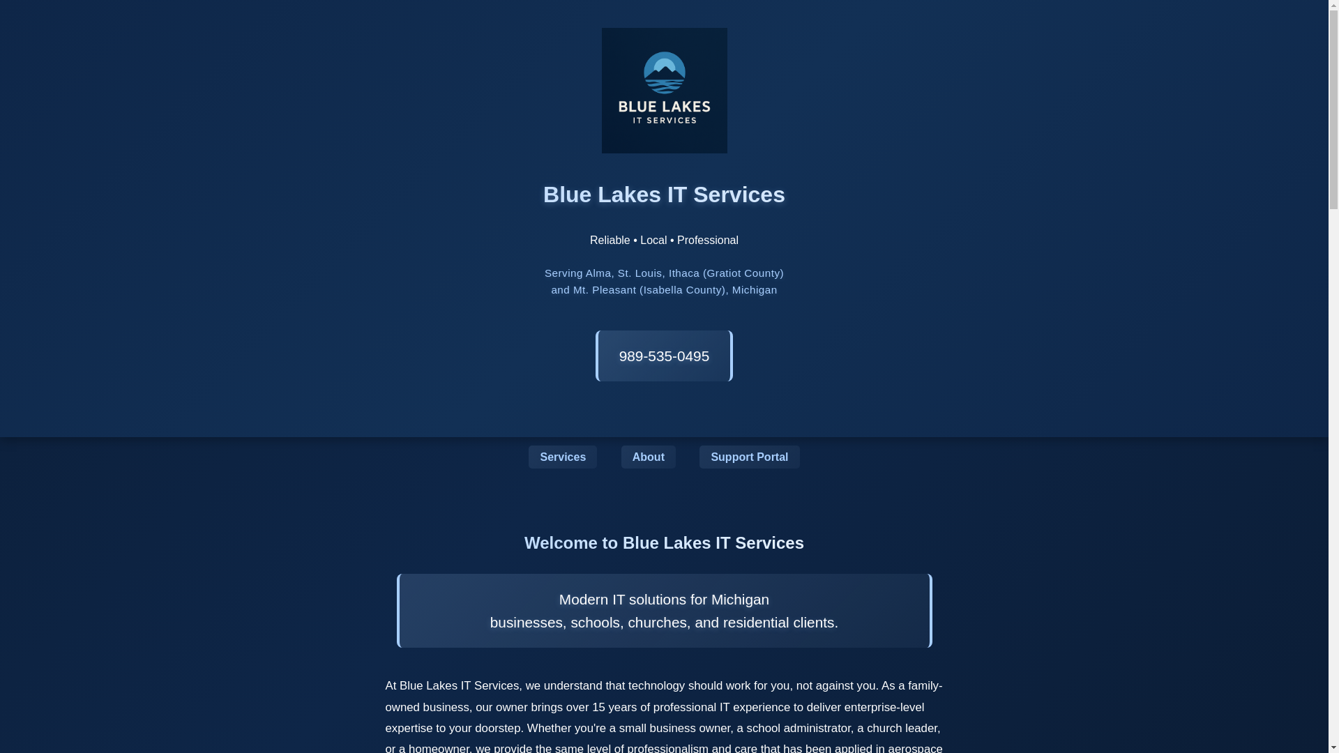 website screenshot of https://bluelakesitservices.com/