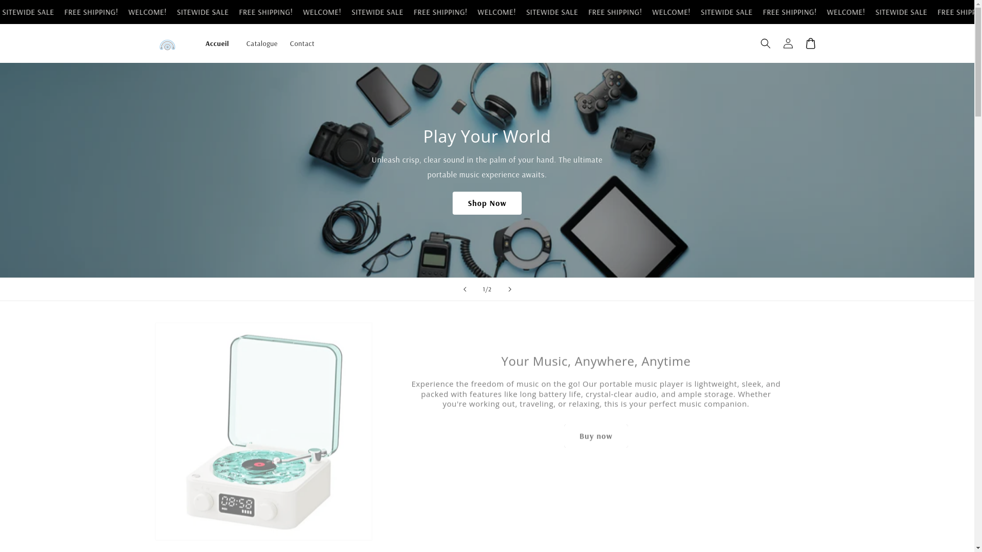 website screenshot of https://technomarche.store/