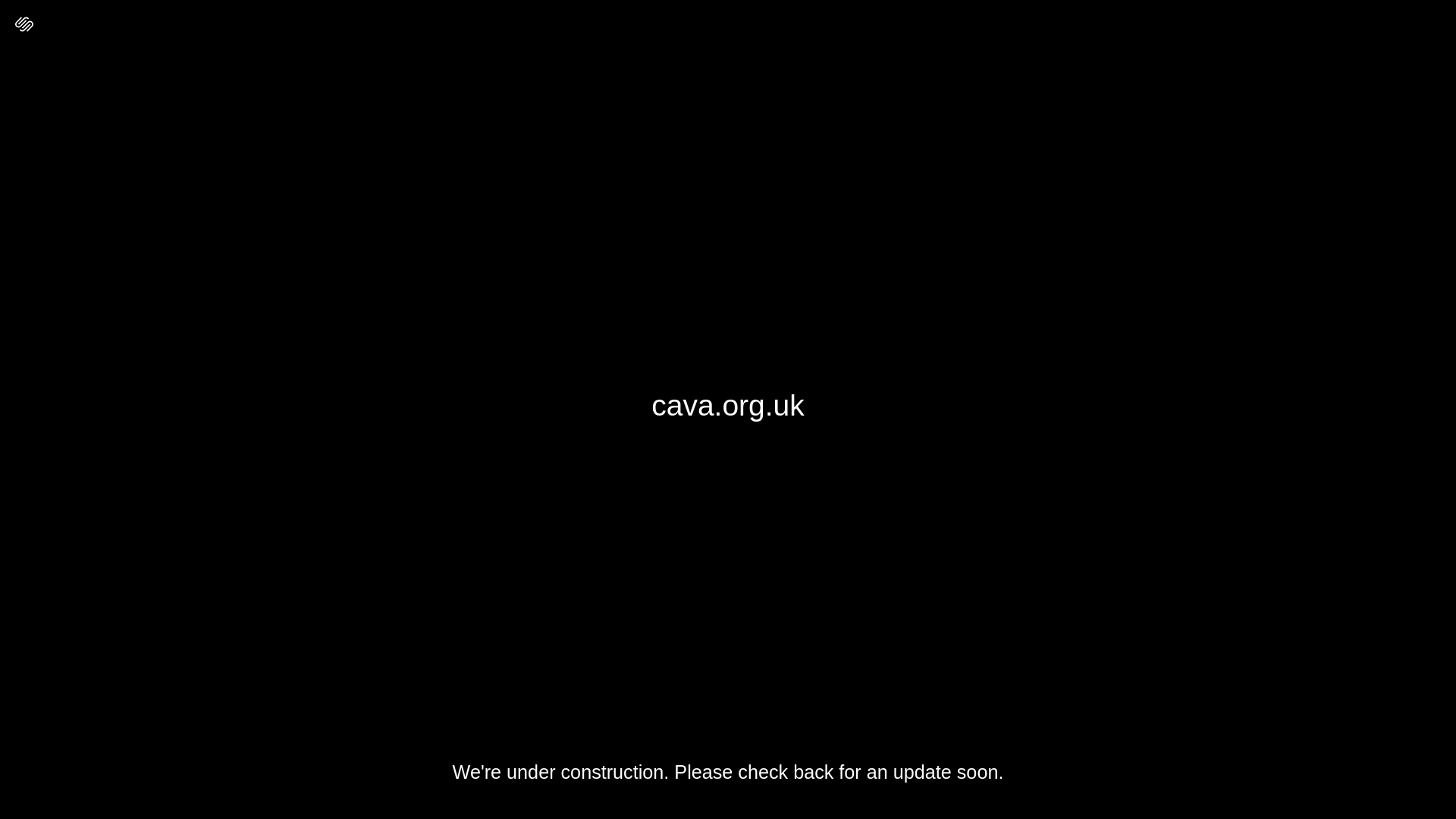 website screenshot of https://cava.org.uk/